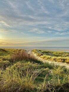 海边草地美景