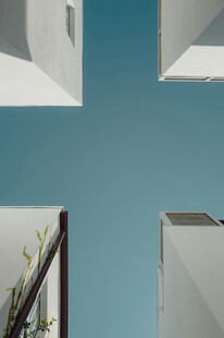 仰视视角下的建筑与绿植