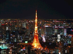 东京塔夜景璀璨夺目