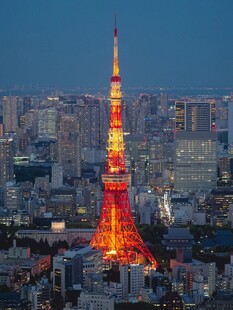 东京塔夜景璀璨