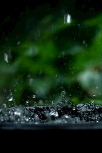 雨滴滑落玻璃上的绿植