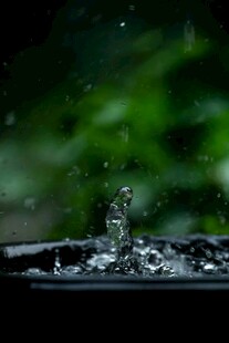 水滴飞溅的灵动瞬间