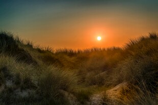 夕阳下的草地美景