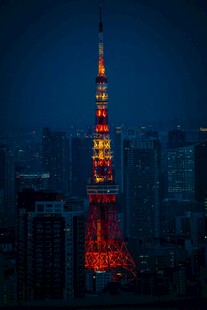 东京塔夜景璀璨