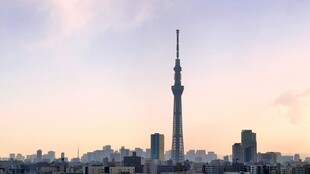 黄昏下的城市高塔景观