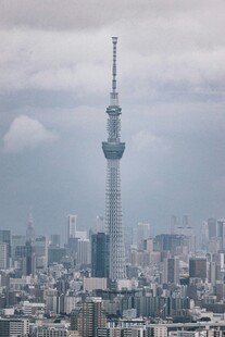 东京城市天际线中的晴空塔