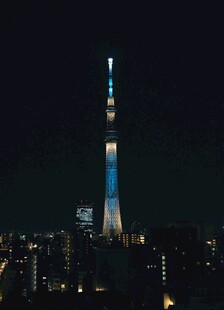 东京塔夜景璀璨