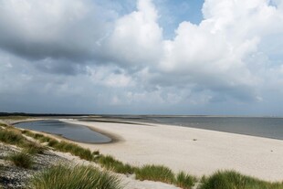 海边沙滩风景