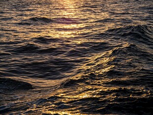 金色海面波光粼粼