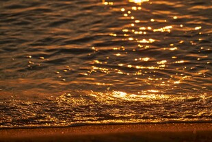 夕阳下波光粼粼的海面
