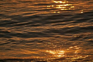 夕阳下波光粼粼的水面
