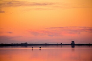 夕阳下的静谧湖面美景
