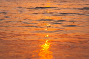 夕阳下波光粼粼的水面
