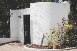 白色小屋旁的绿植景致
