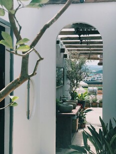 庭院绿植景观一角