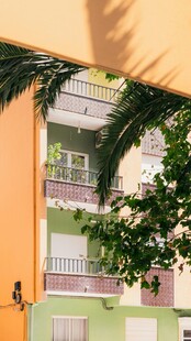 多彩建筑旁的翠绿棕榈树