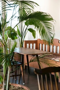 室内绿植环绕的木质餐桌