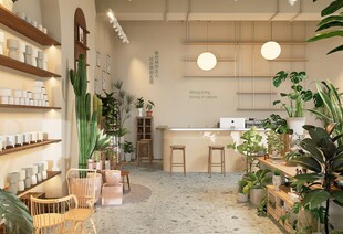 温馨绿植室内休闲空间