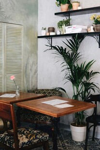 温馨室内木质桌椅绿植场景