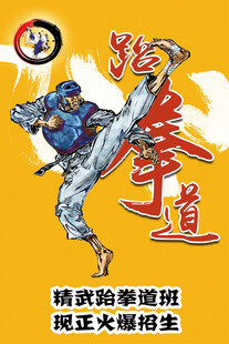 跆拳道海报