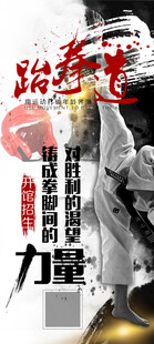 跆拳道海报