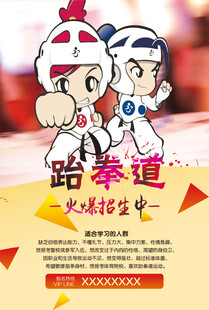 跆拳道海报