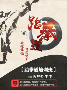 跆拳道海报