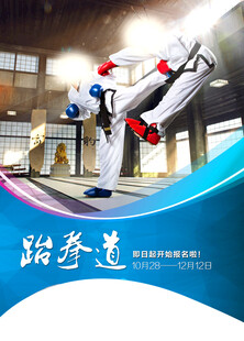 跆拳道海报