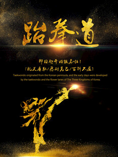 跆拳道海报