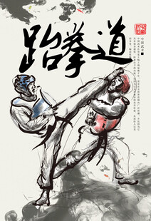 跆拳道海报