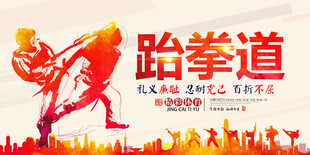 跆拳道海报