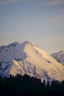 雪山森林美景