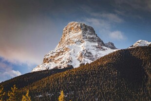 巍峨雪山与葱郁山林美景