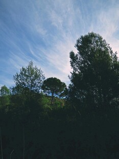 蓝天绿树间的自然景致