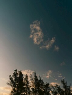 黄昏下的树梢与天空