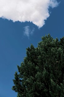 蓝天绿树间的清新景致