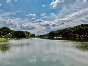 宁静湖畔风光