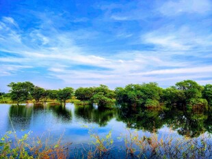 宁静湖畔风光