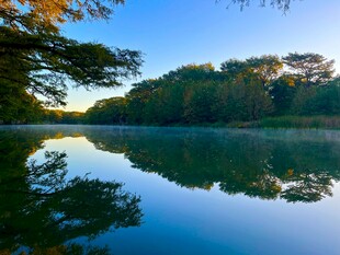 宁静湖畔的自然美景