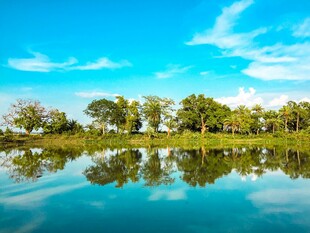 湖畔绿树蓝天倒影美景