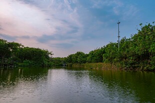 宁静河畔自然风光