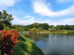 湖畔美景