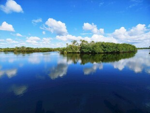 宁静湖中小岛风光