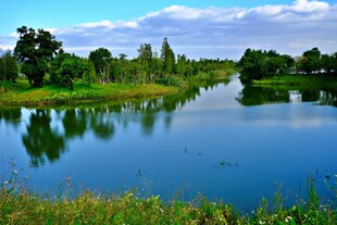 宁静湖畔风光