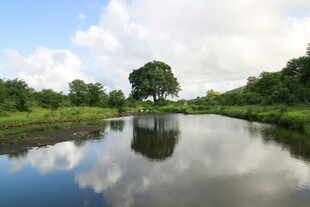 宁静河畔风光