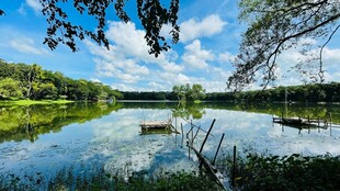 宁静湖畔风光