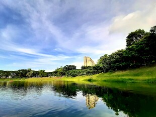 湖畔美景