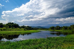 湖畔绿野