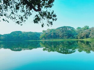 宁静湖畔美景