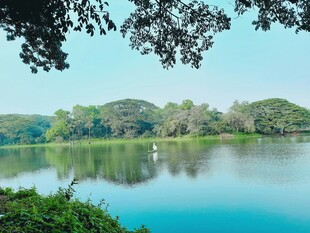 湖畔美景